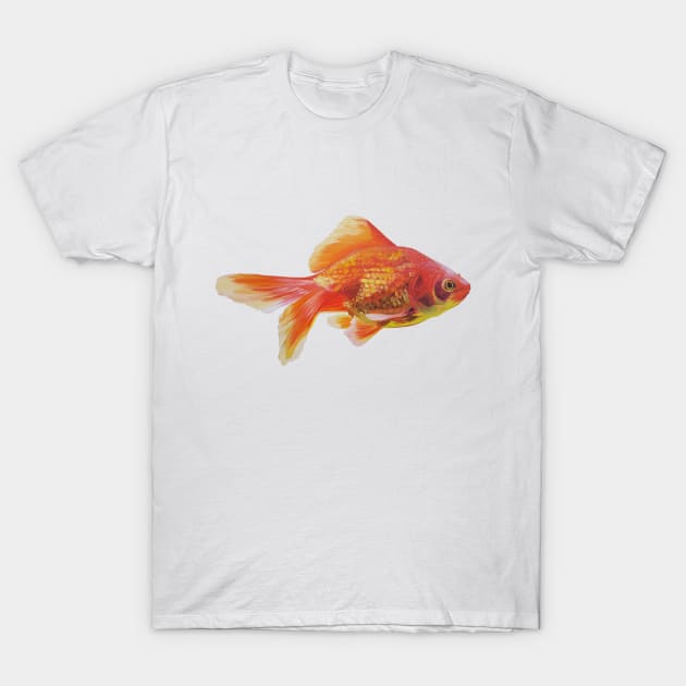 Goldfish painting (no background) T-Shirt by EmilyBickell